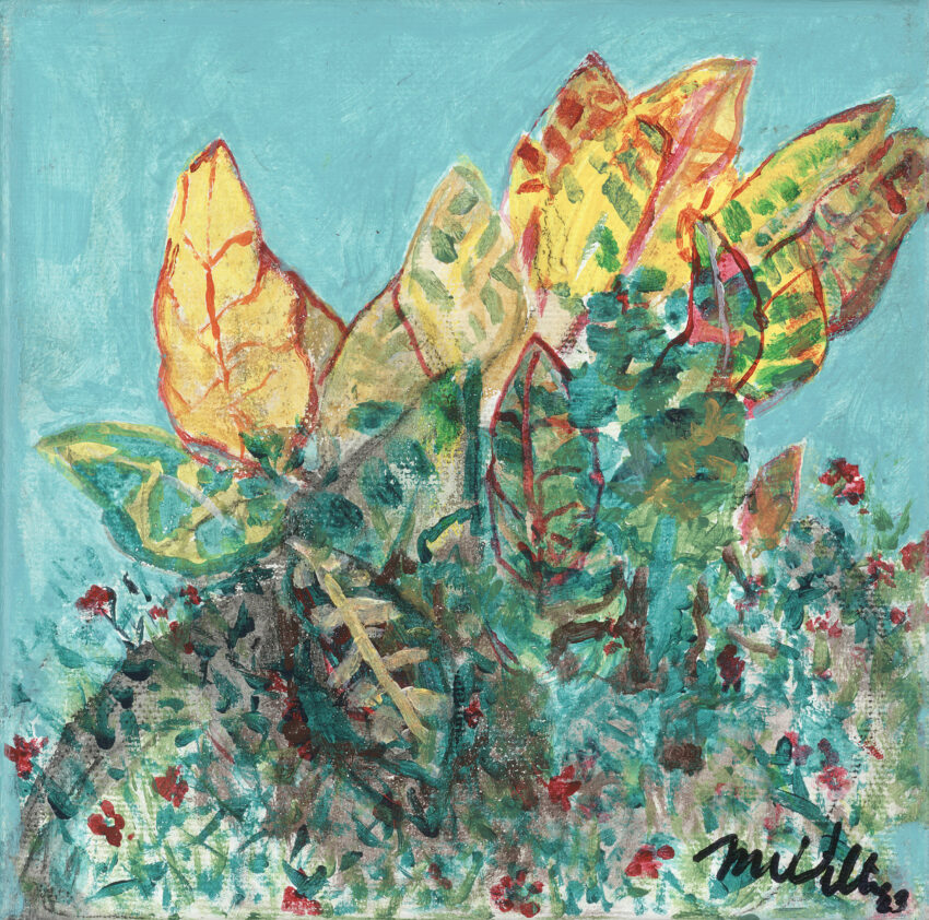 Untitled Yellow Plant